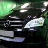 Защита радиатора "Standart" Mercedes-Benz VITO II W639 рестайлинг (2010-2014) хром купить недорого с доставкой в Бор